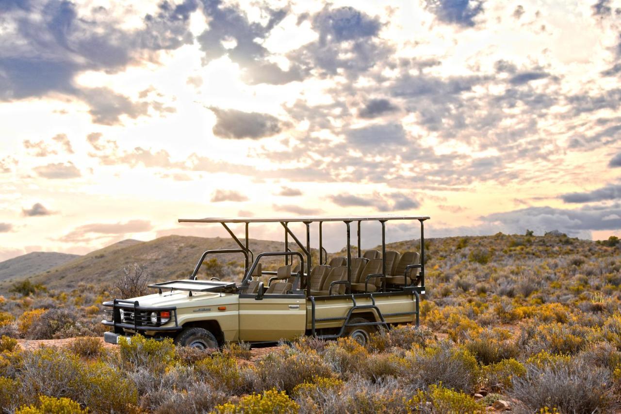 Mont Eco Game Reserve Montagu Exteriér fotografie