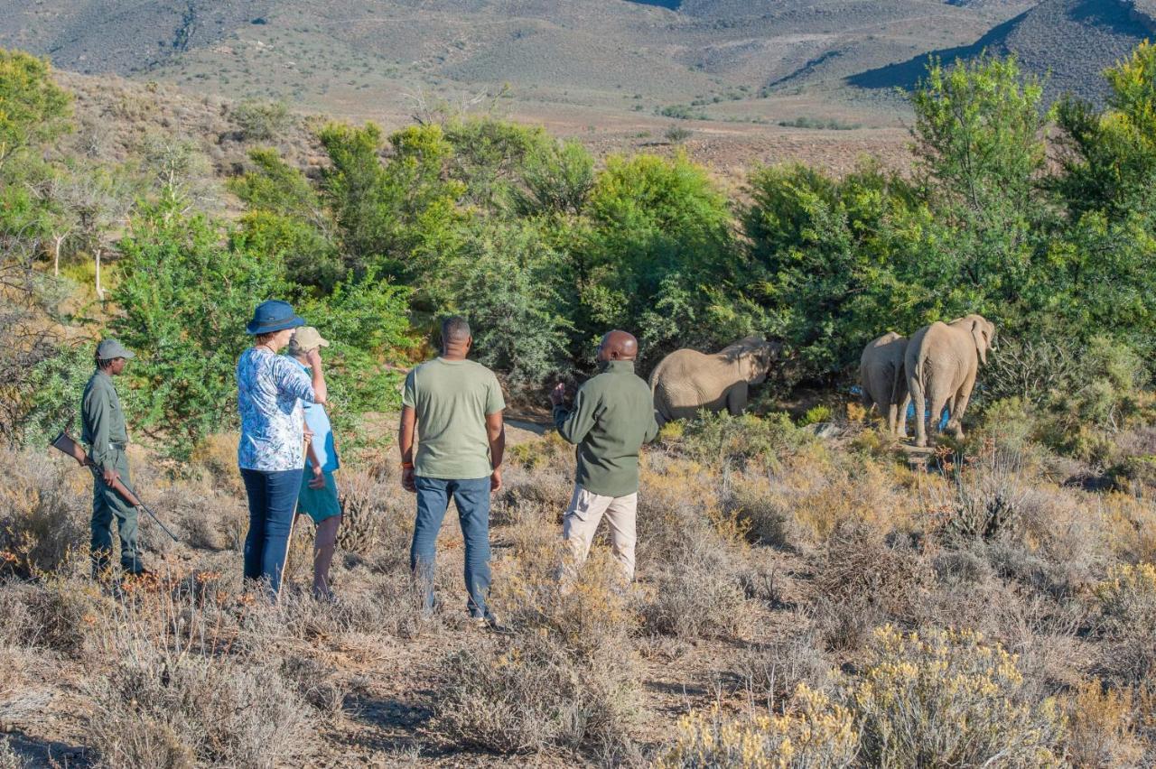 Mont Eco Game Reserve Montagu Exteriér fotografie