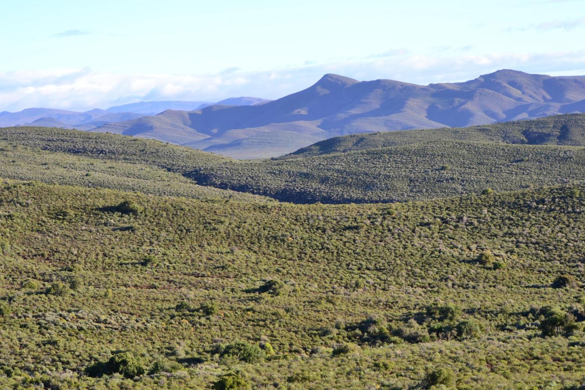 Mont Eco Game Reserve Montagu Exteriér fotografie